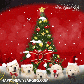 Merry Christmas Puppies Gif - 22 | Happy New Year Gifs for Download Merry Christmas Puppies Gif - 22 | Happy New Year Gifs for Download